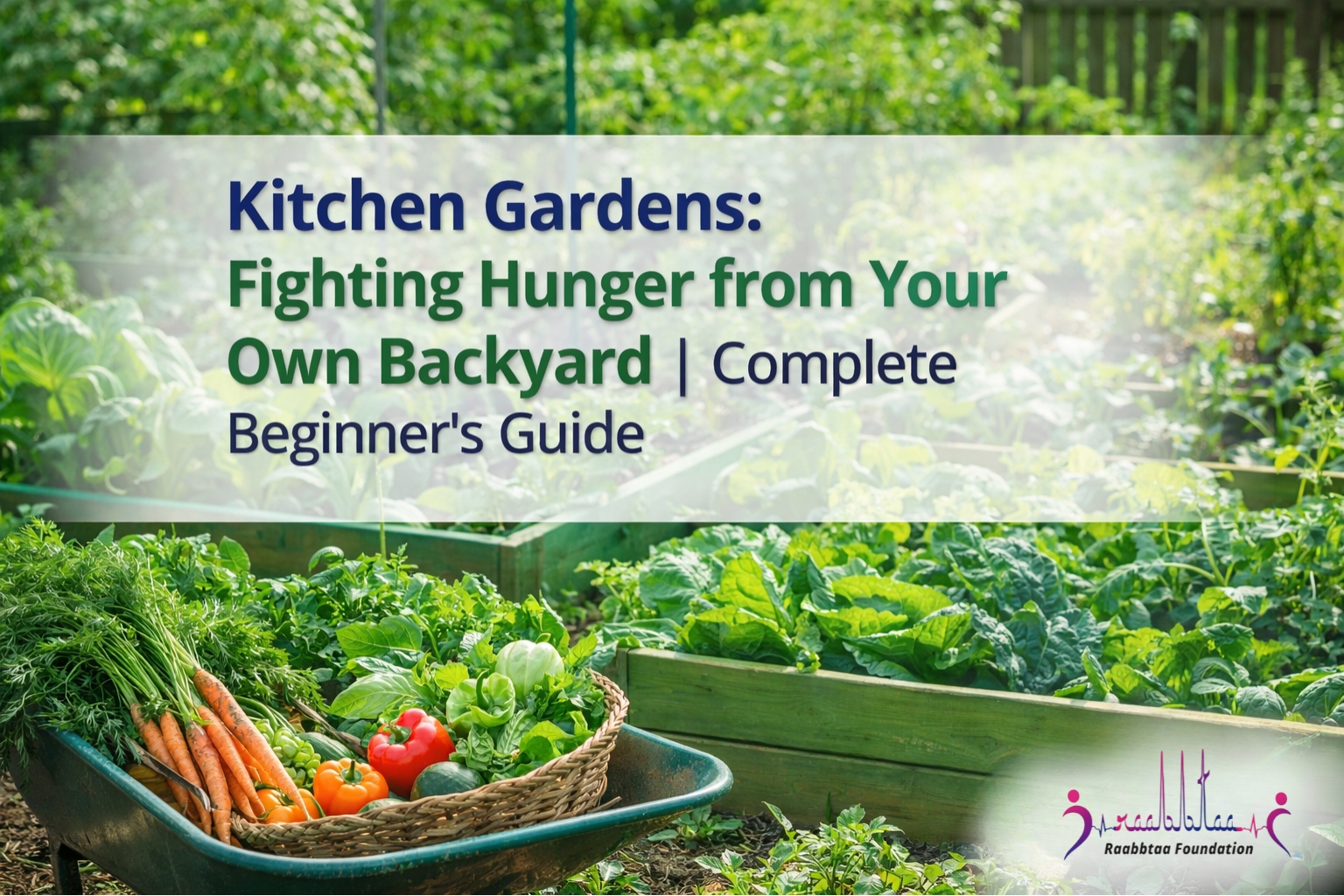 kitchen gardens fighting hunger from your own backyard | complete beginner’s guide